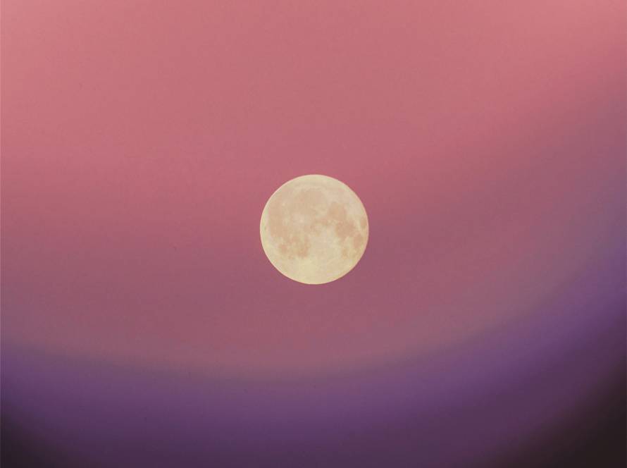 Luna Nuova in Vergine